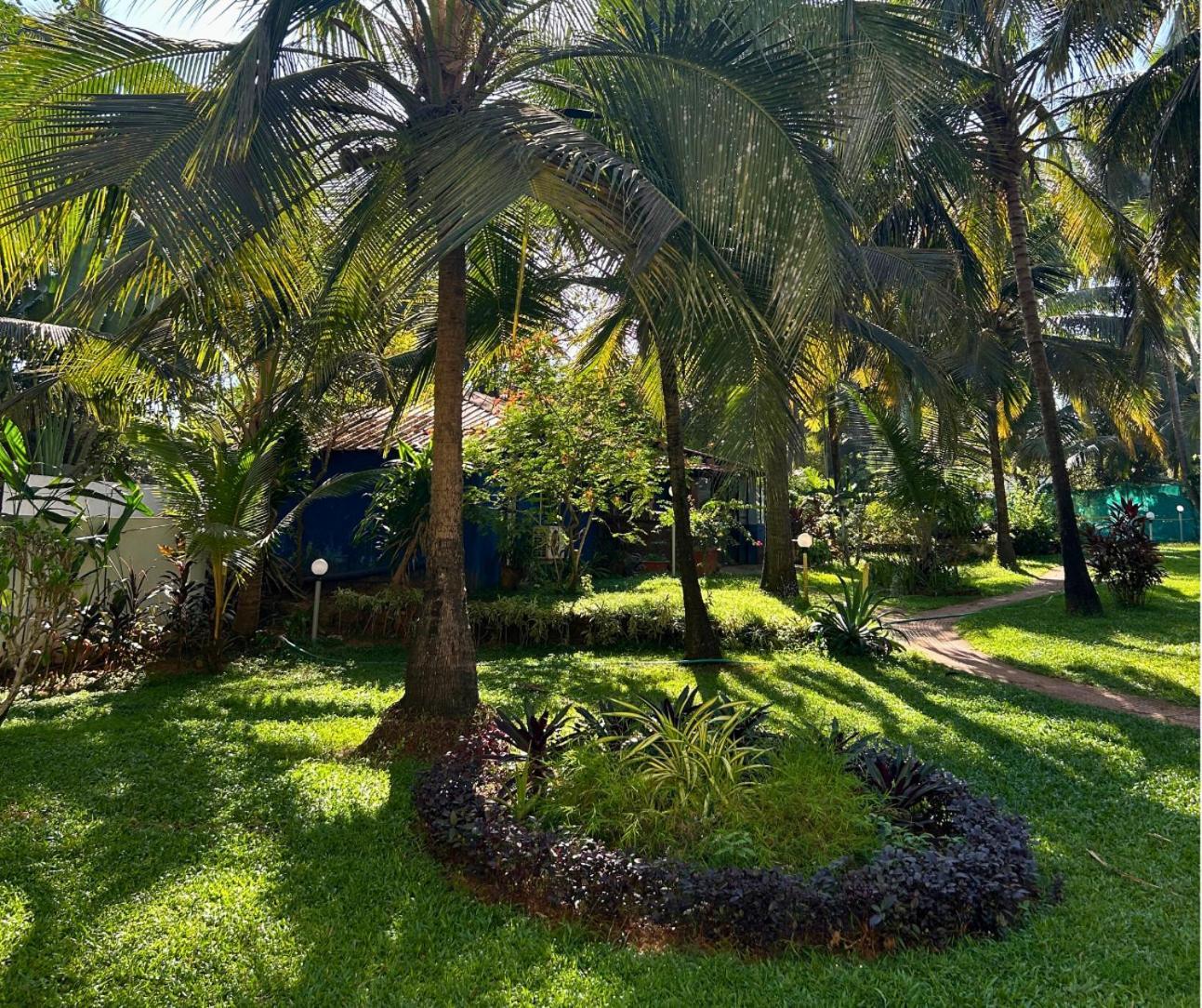 Jungle Hut-Annabelle'S Beach Apartments At Bernard Simao,Calangute,Goa Candolim Exterior photo