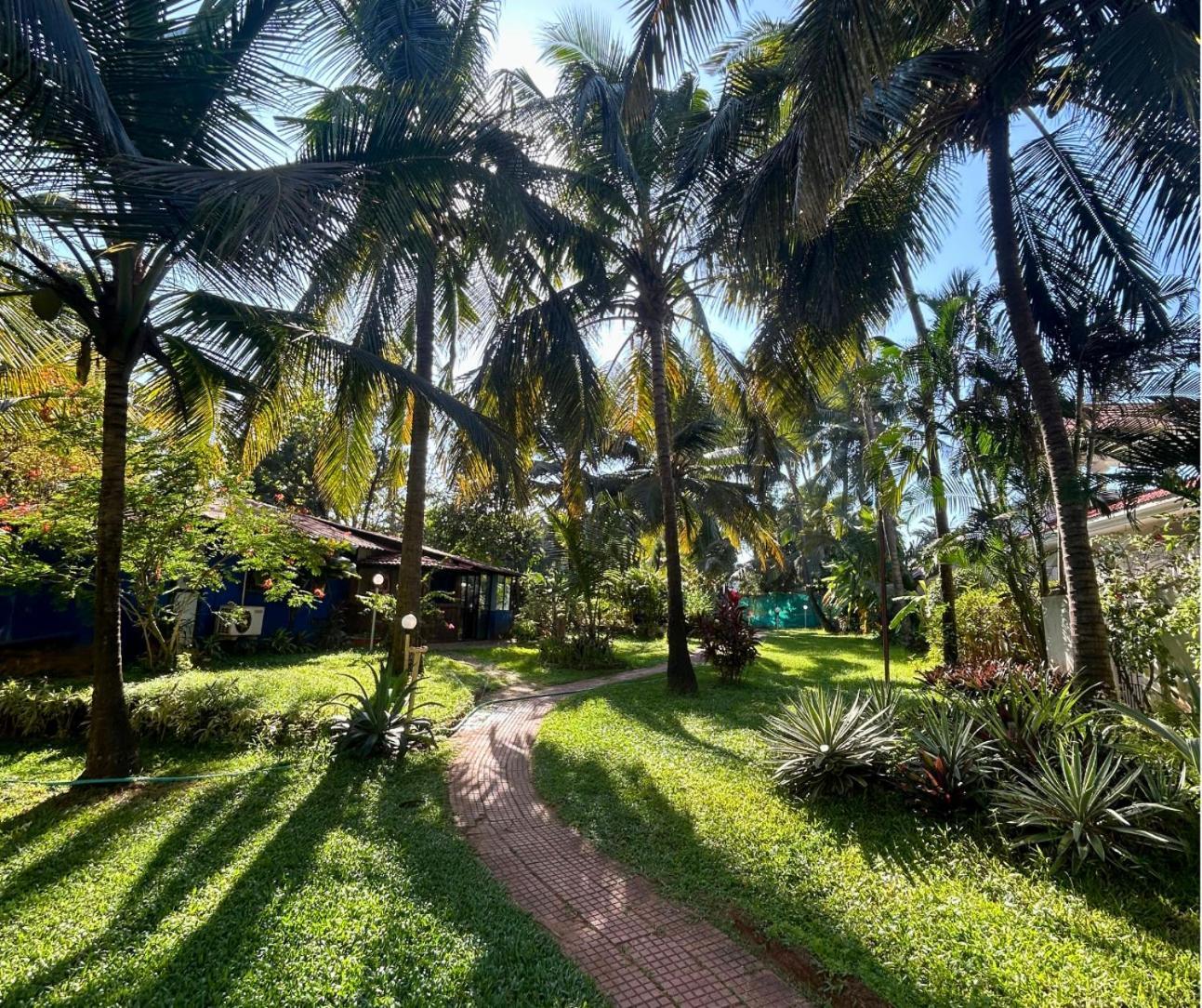 Jungle Hut-Annabelle'S Beach Apartments At Bernard Simao,Calangute,Goa Candolim Exterior photo